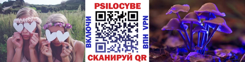 блэк спрут зеркало  Каменск-Уральский  Псилоцибиновые грибы мухоморы  наркотики 